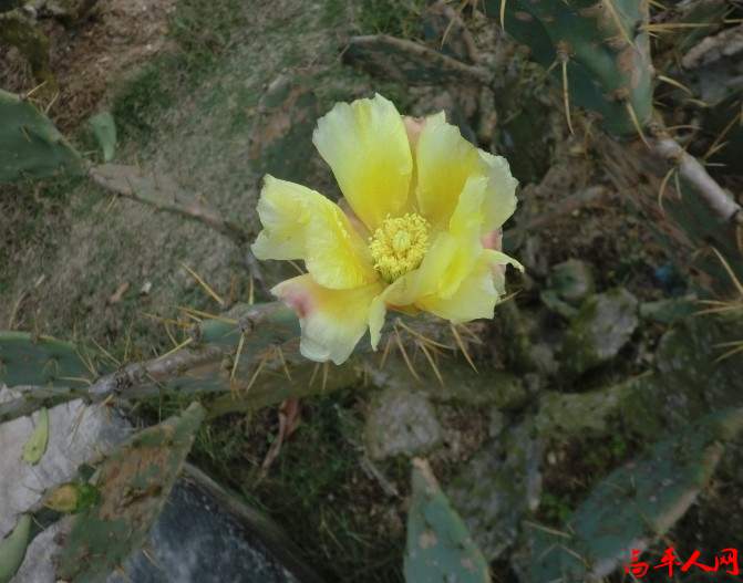 RFKSOQTU6_KTX25T`3361OU.jpg