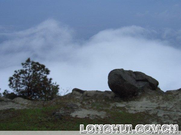 20090413154430517624.jpg