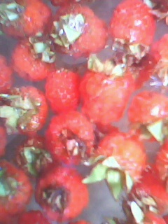 IMG0108A.jpg