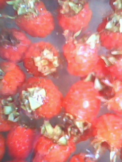 IMG0109A.jpg