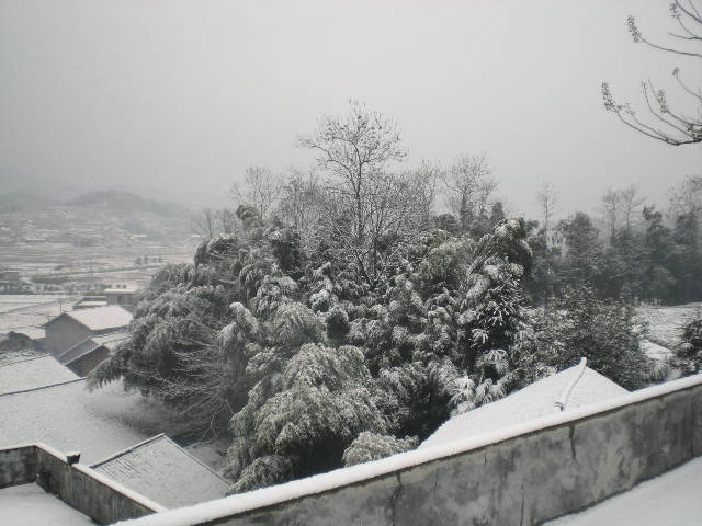 雪.jpg