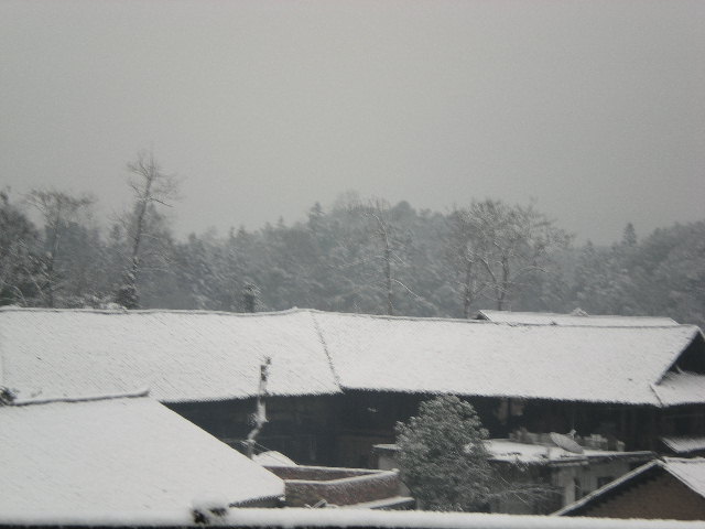 高坪雪景.jpg