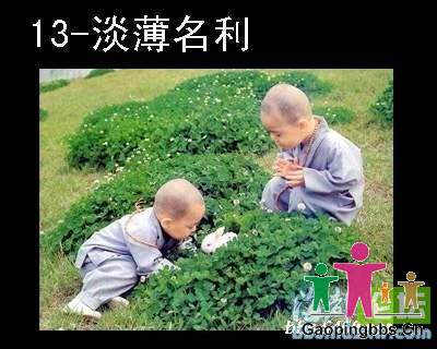 淡薄_1~1.JPG
