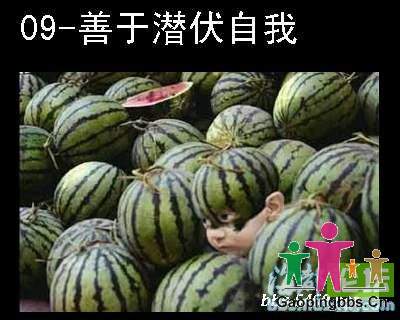 潜伏_1~1.JPG