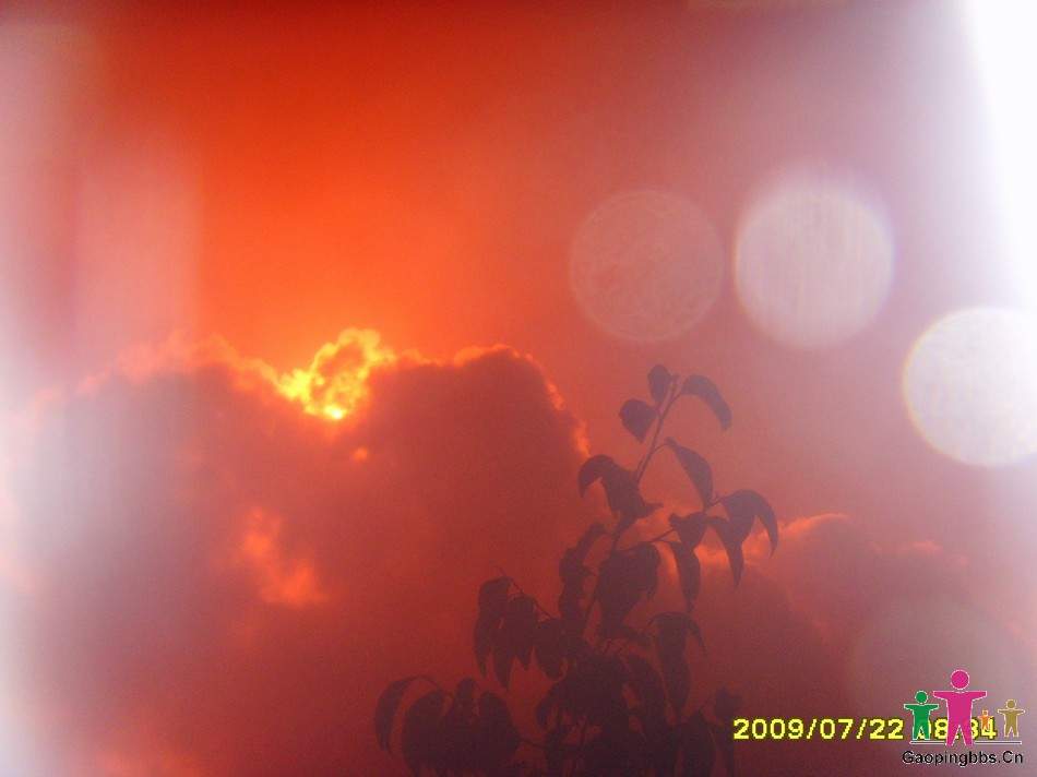 SSL24396.JPG
