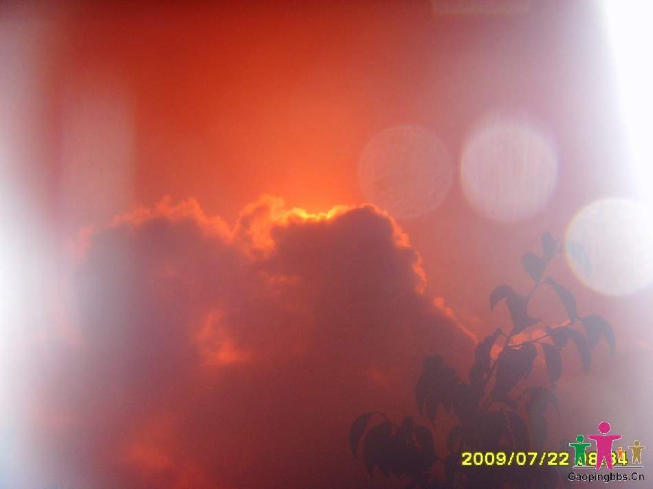 SSL24397.JPG