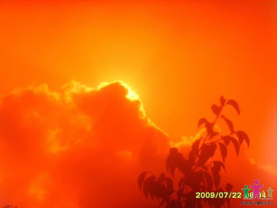 SSL24398.JPG