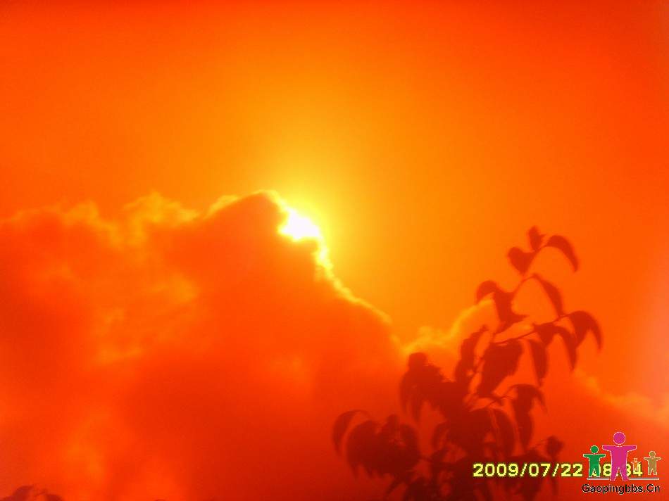 SSL24399.JPG