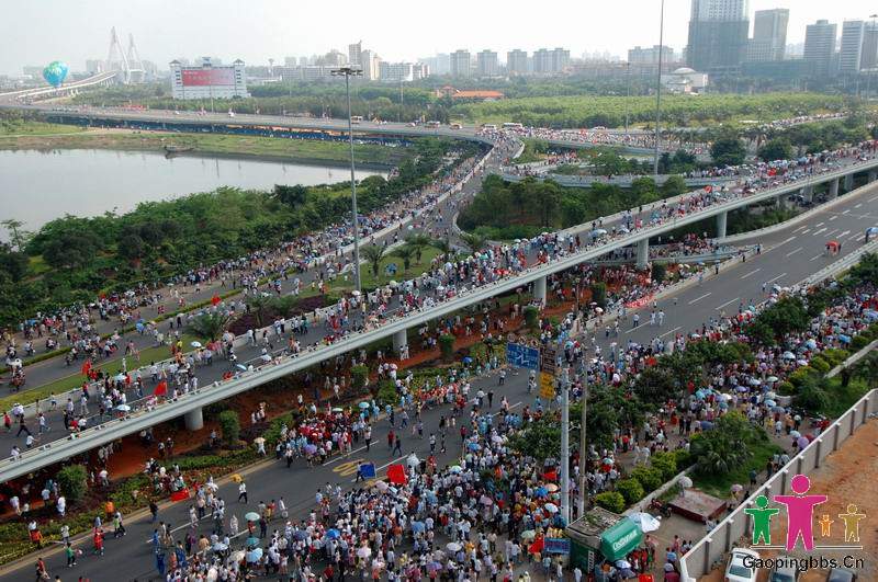 滨海立交桥.jpg