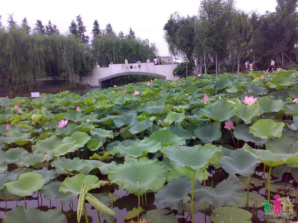 20090802026_缩小大小.jpg