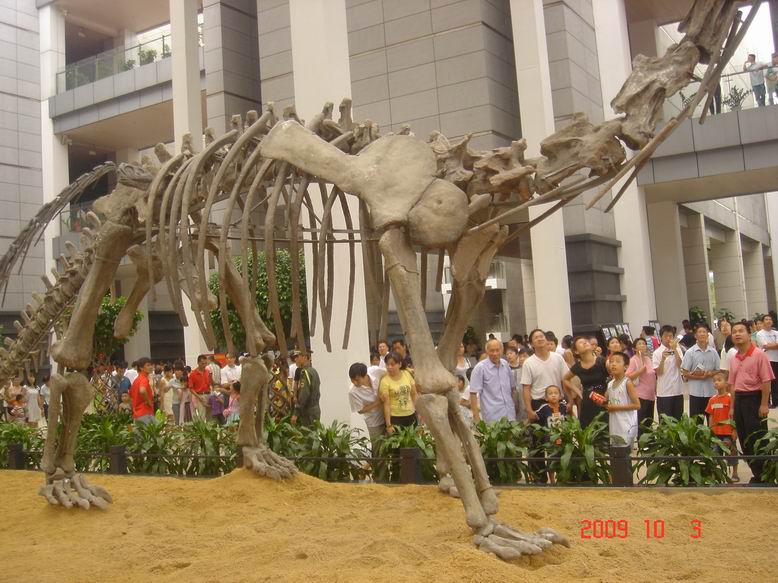 调整大小 DSC00005.JPG