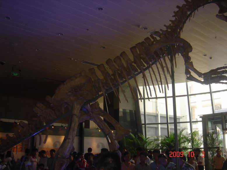 调整大小 DSC00018.JPG