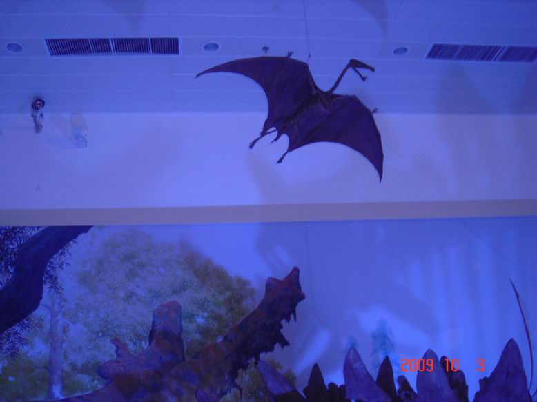 调整大小 DSC00031.JPG