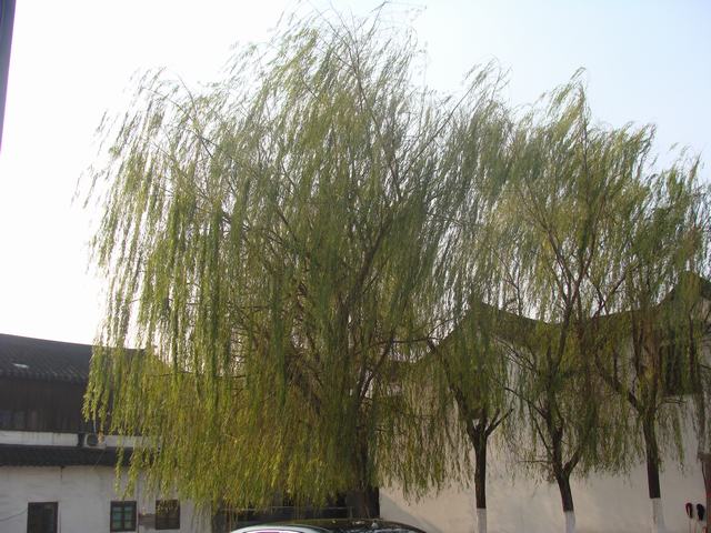 DSC02691.JPG