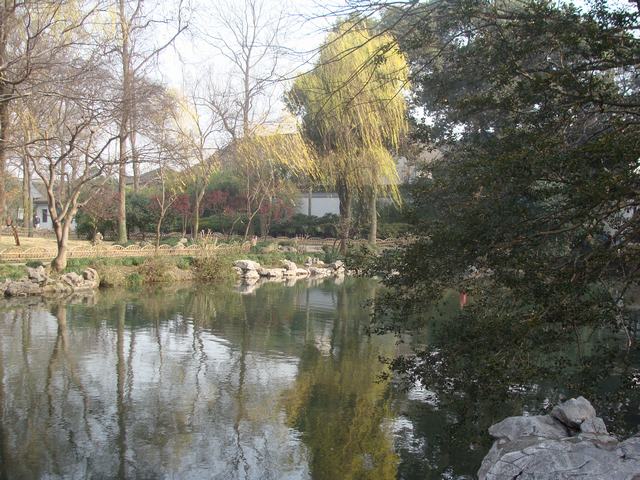 DSC02701.JPG