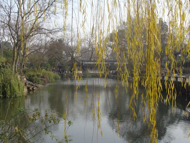 DSC02724.JPG