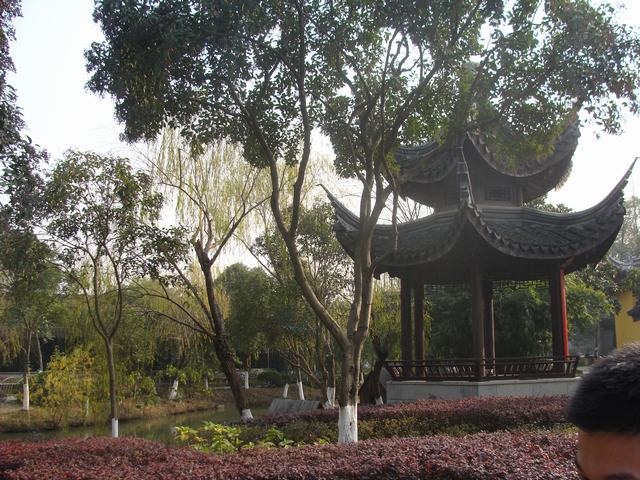 DSC02795.JPG