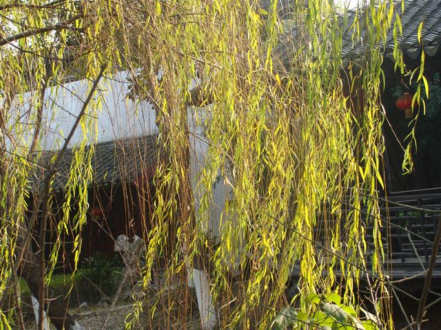 DSC02808.JPG