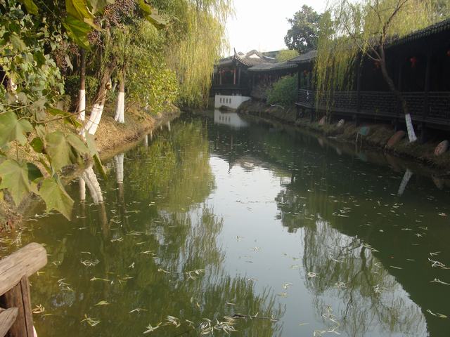 DSC02803.JPG