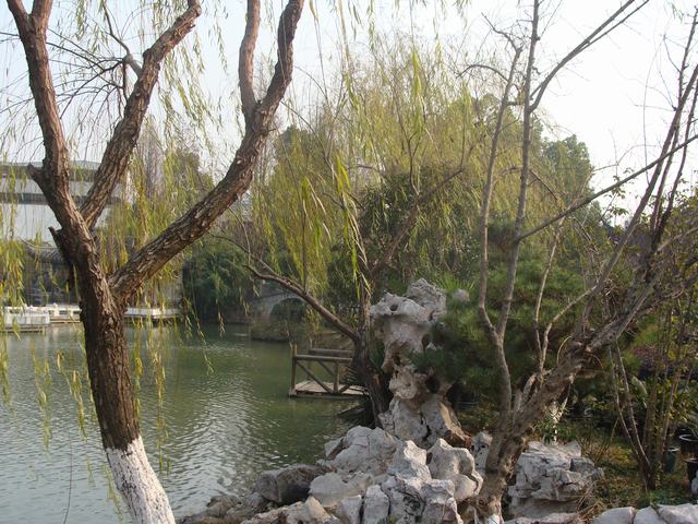 DSC02791.JPG