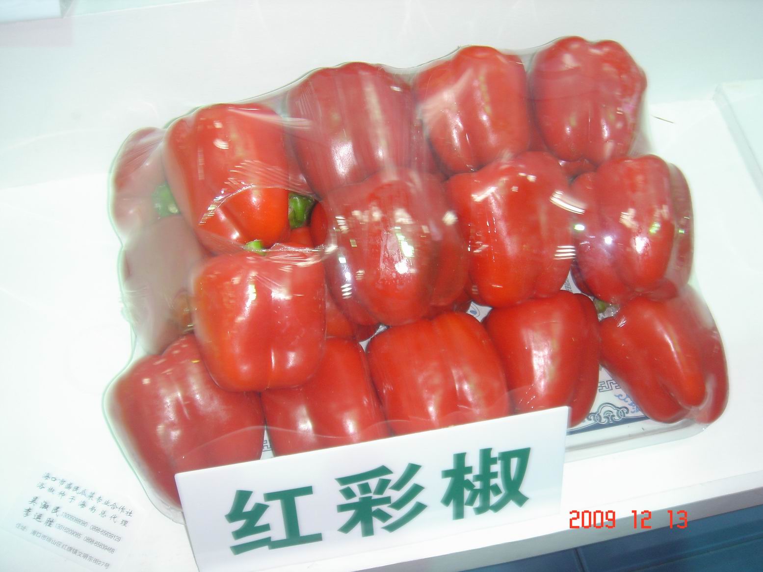 调整大小 DSC00005.JPG
