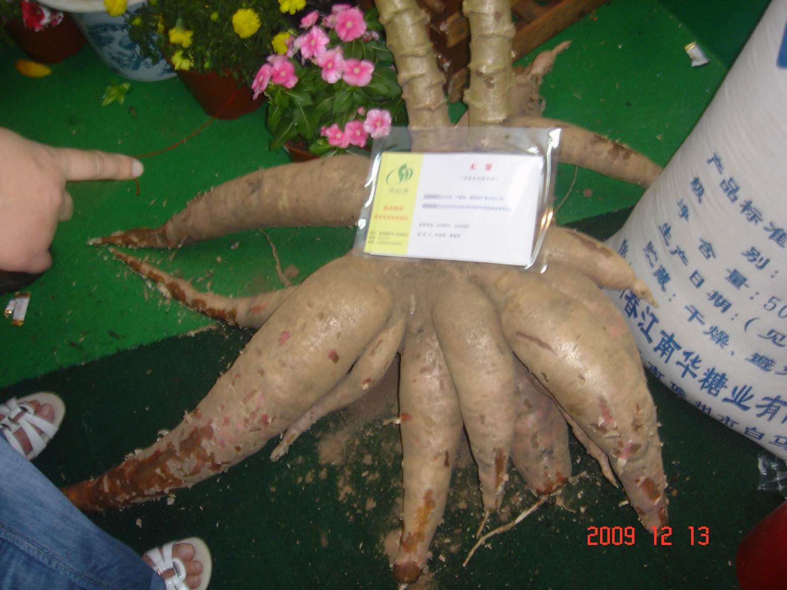 调整大小 DSC00009.JPG