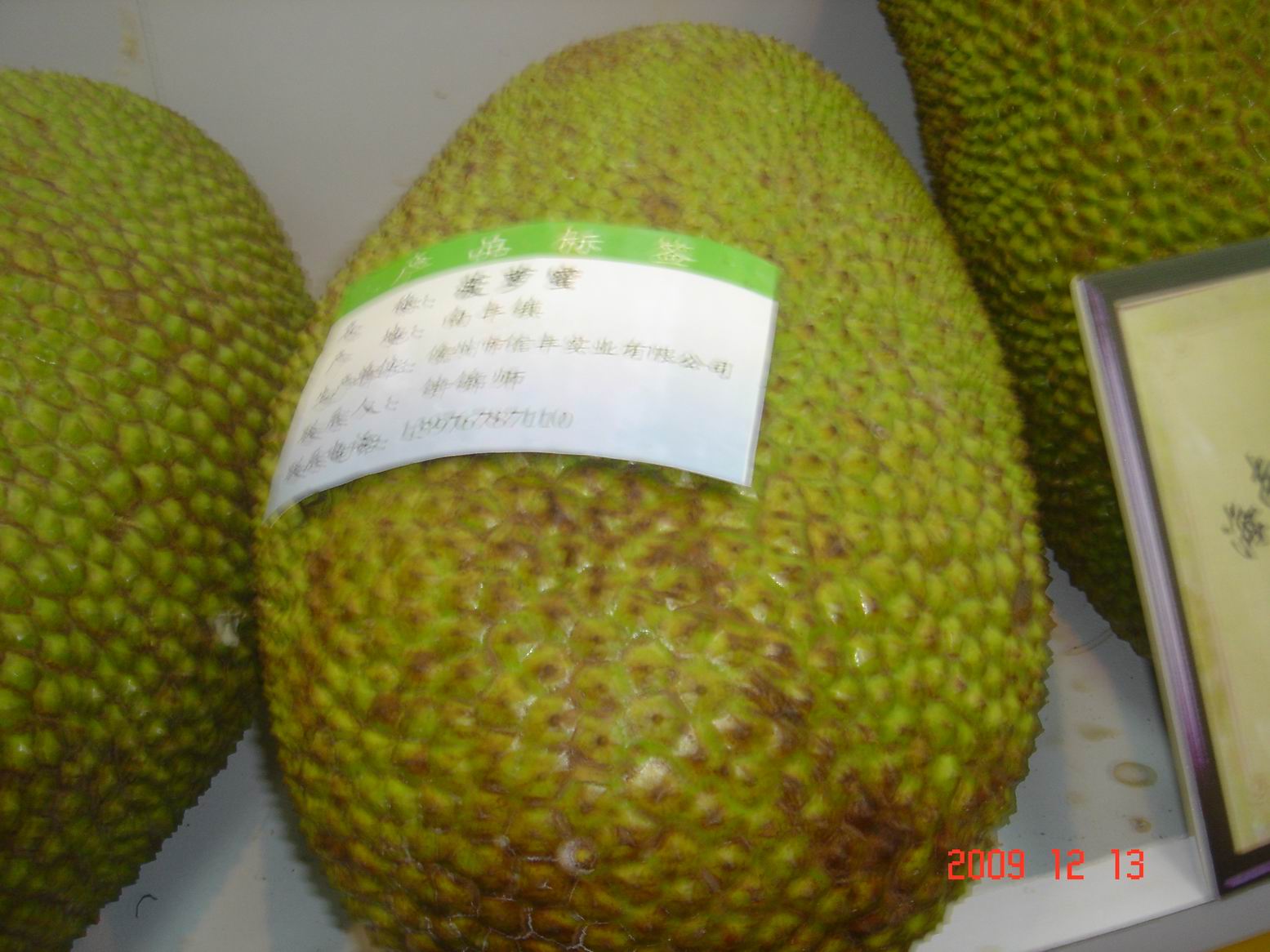 调整大小 DSC00012.JPG