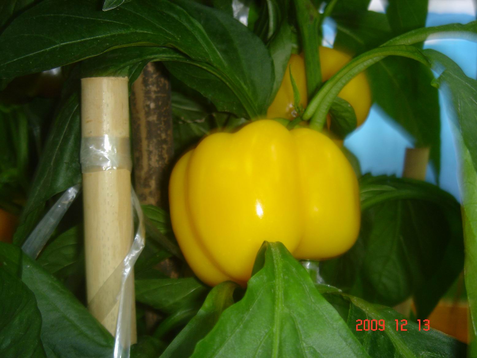 调整大小 DSC00015.JPG