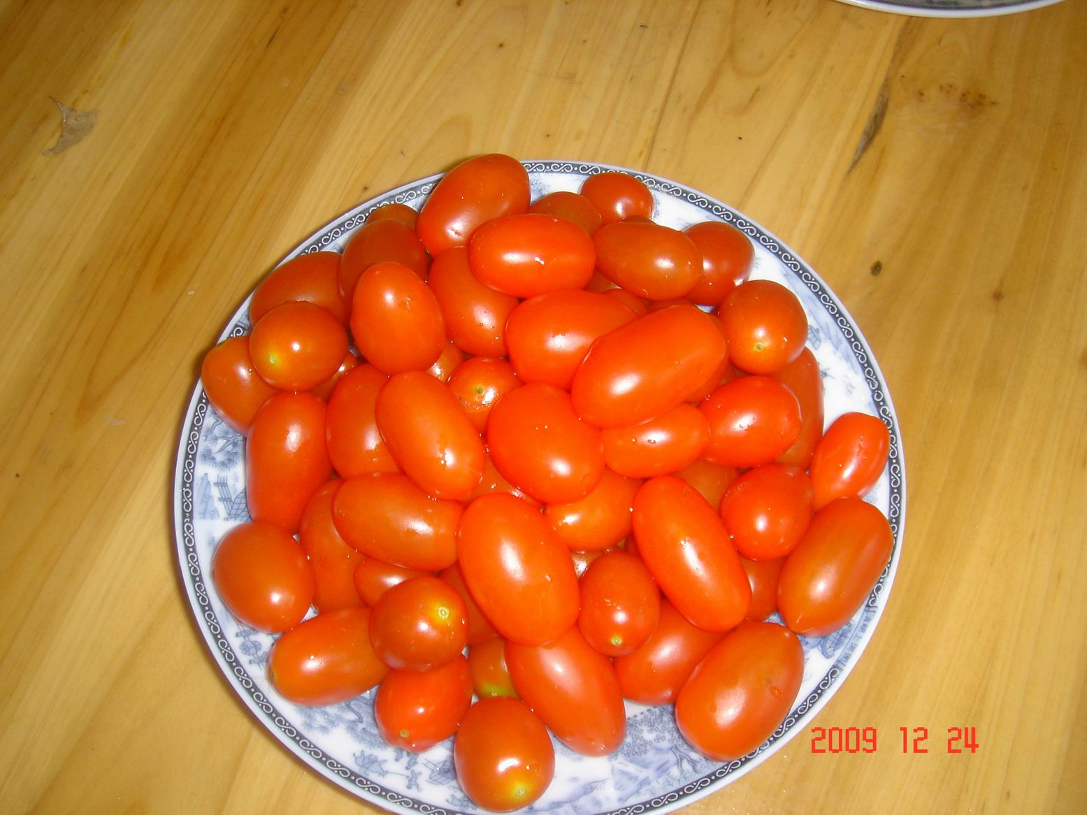 调整大小 DSC00032.JPG
