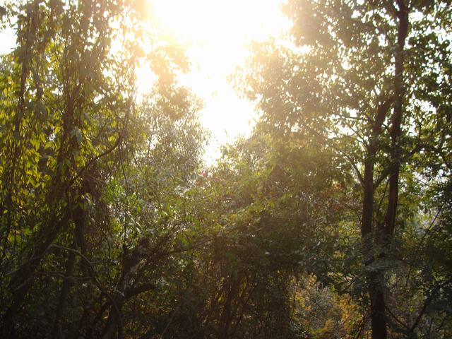 DSC03079.JPG