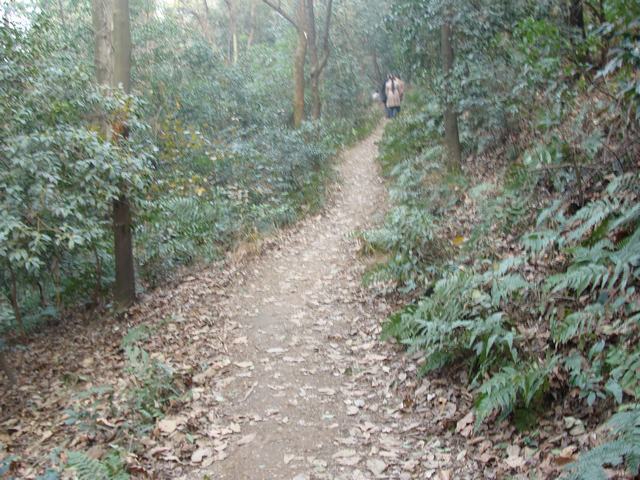 DSC03092.JPG