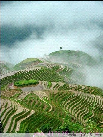 陆6.jpg