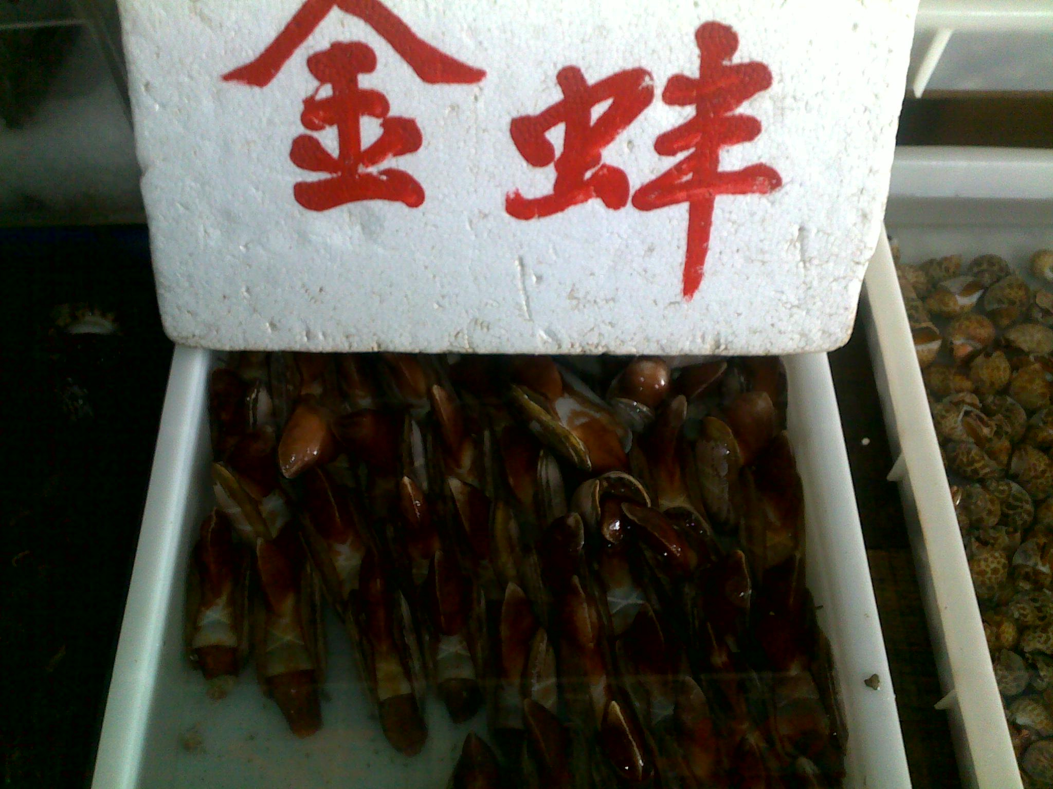 20100116168.jpg