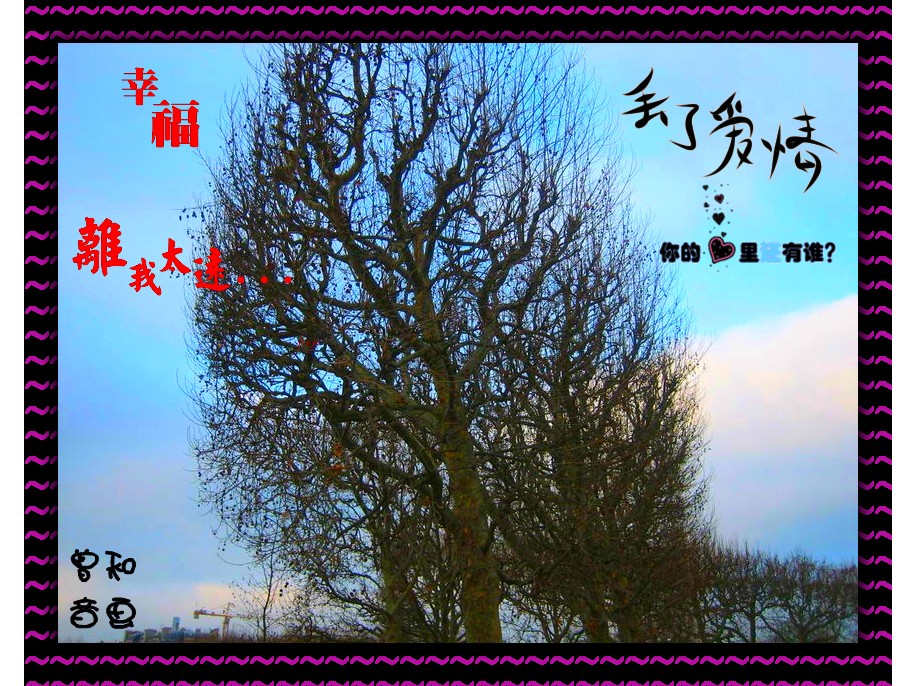 9177fd8fedf412ea513d92f9_副本.jpg