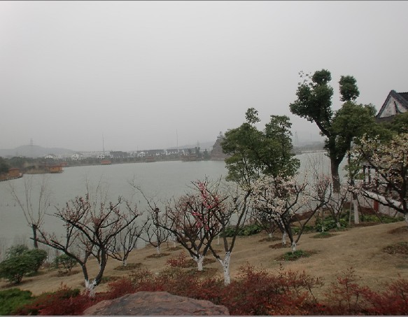 未命名.jpg