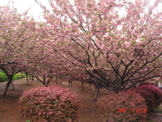 DSC07748.JPG