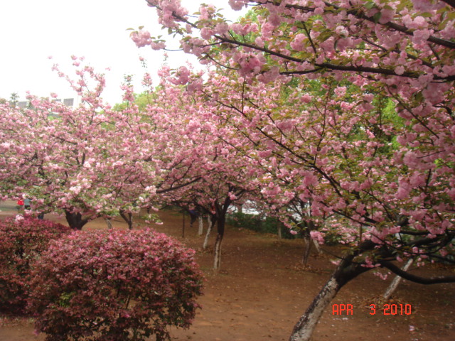 DSC07752.JPG