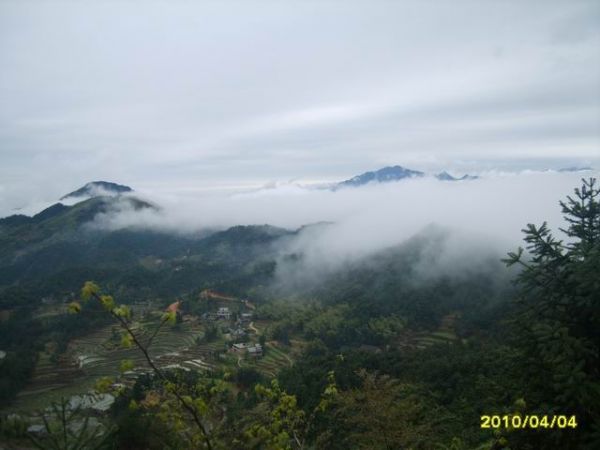 1004061237c805c966a250b79a.jpg.thumb.jpg