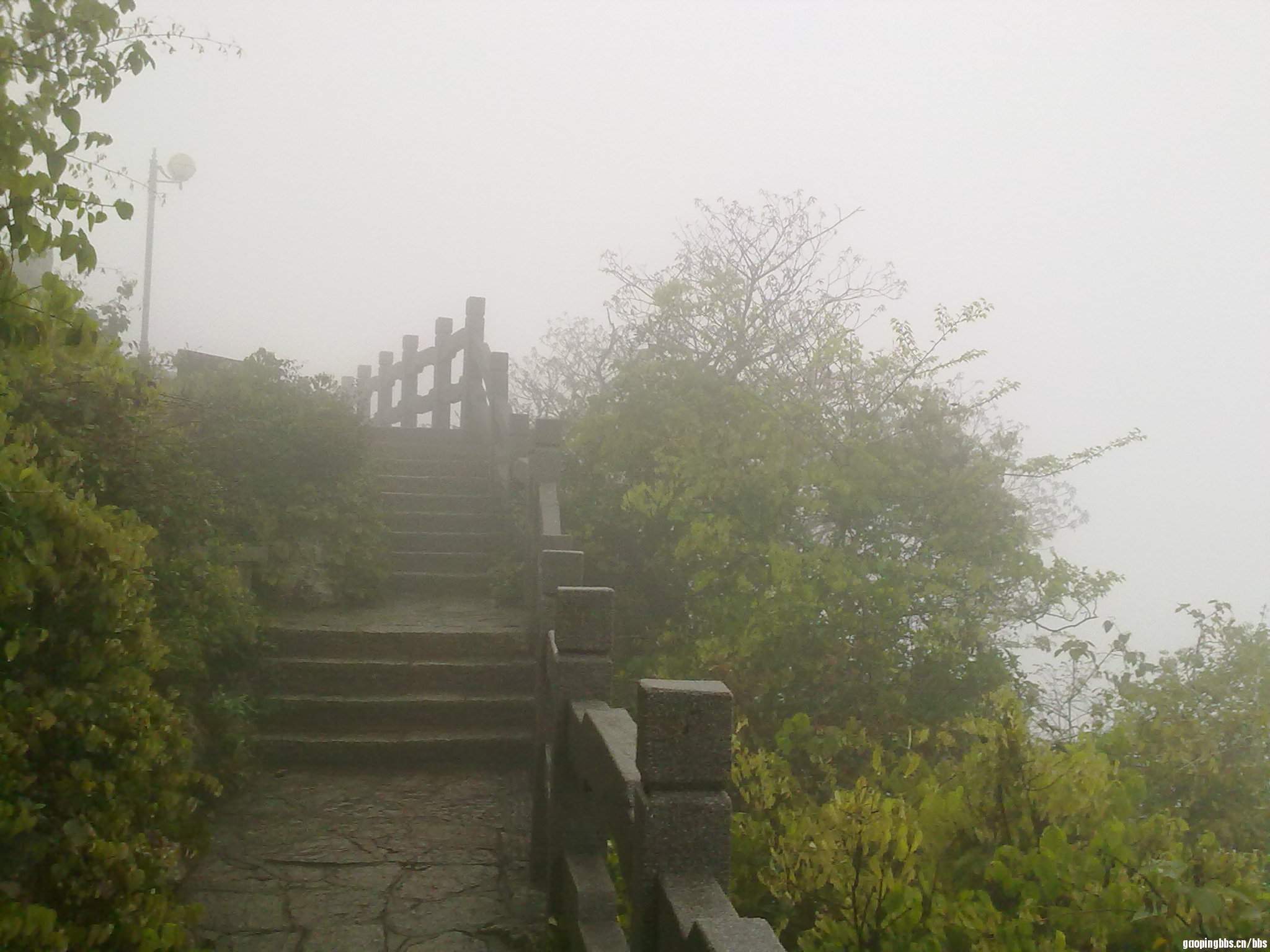 20110407380.jpg