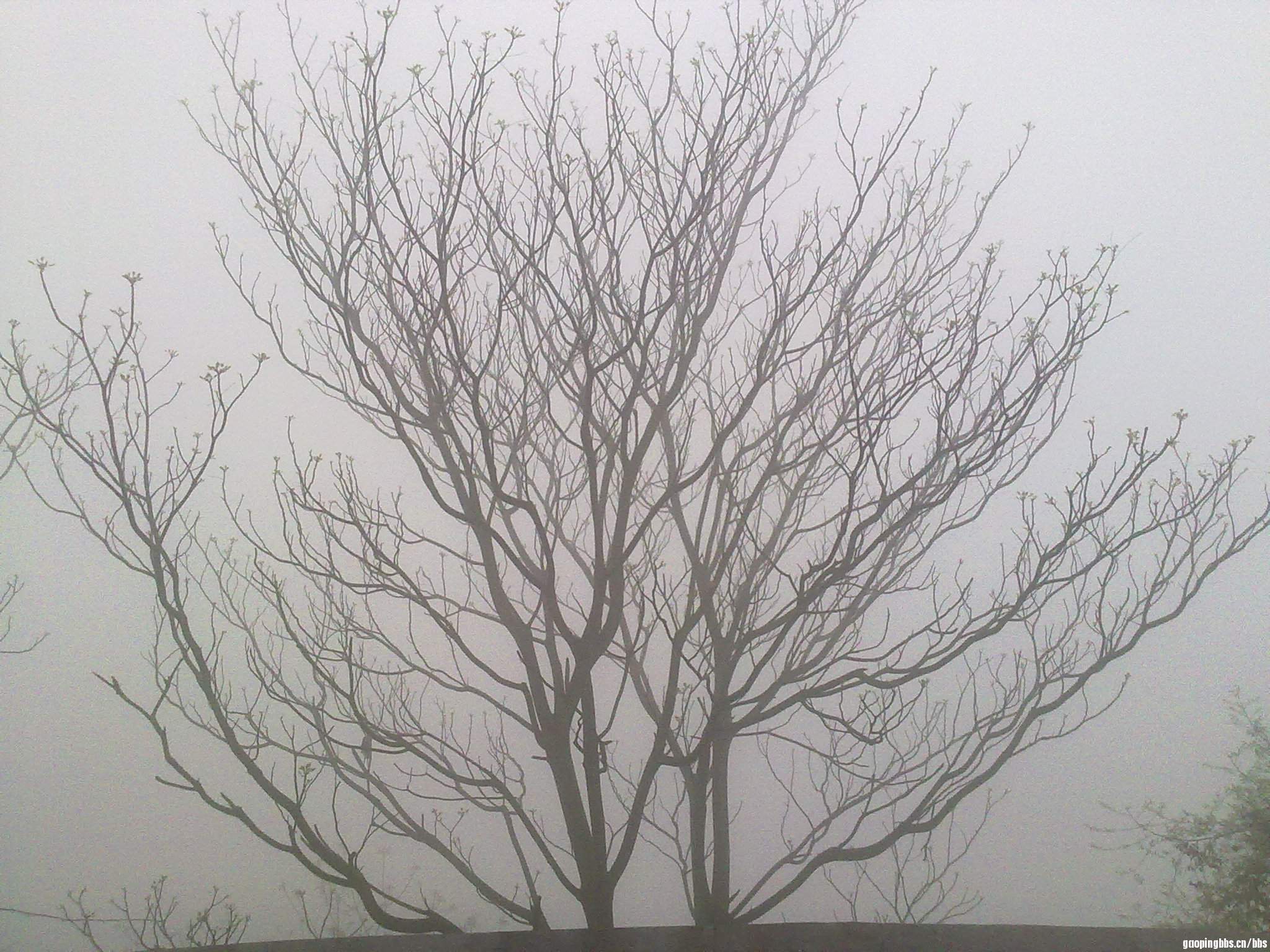 20110407385.jpg