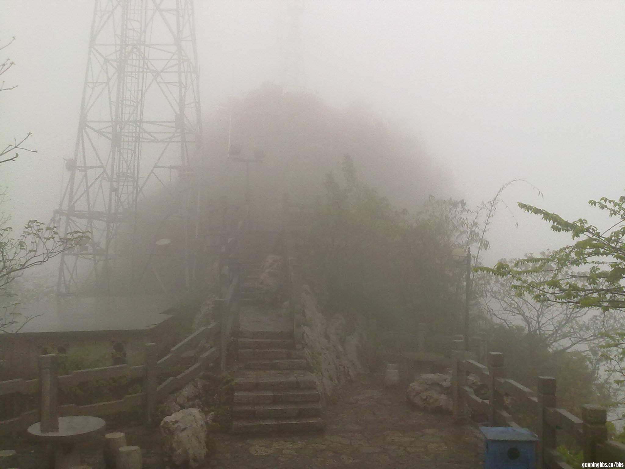 20110407383.jpg