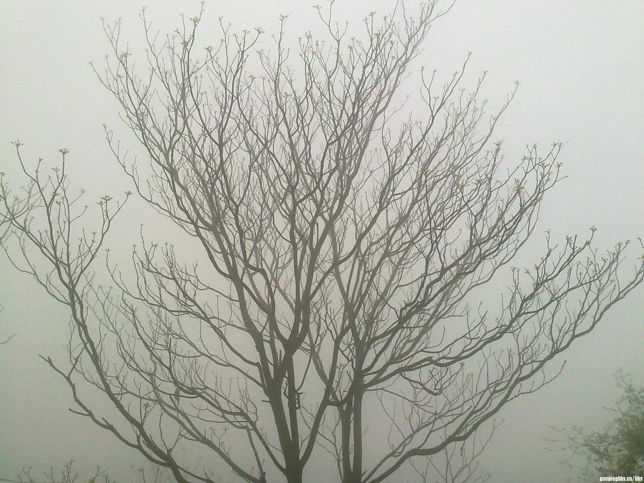 20110407386.jpg