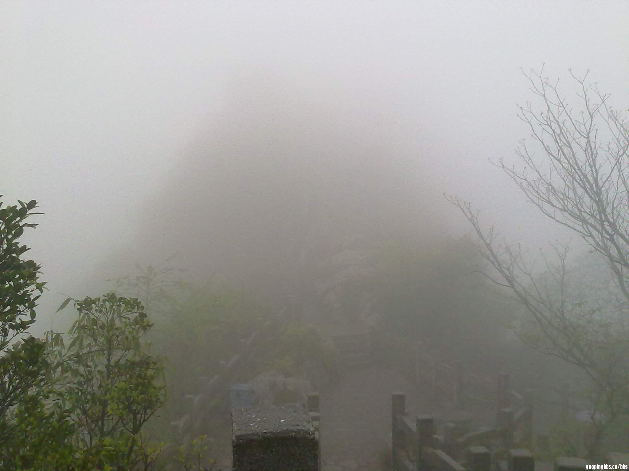 20110407384.jpg