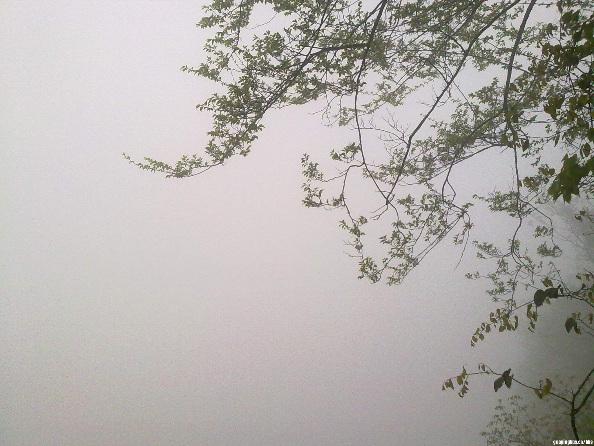 20110407387.jpg