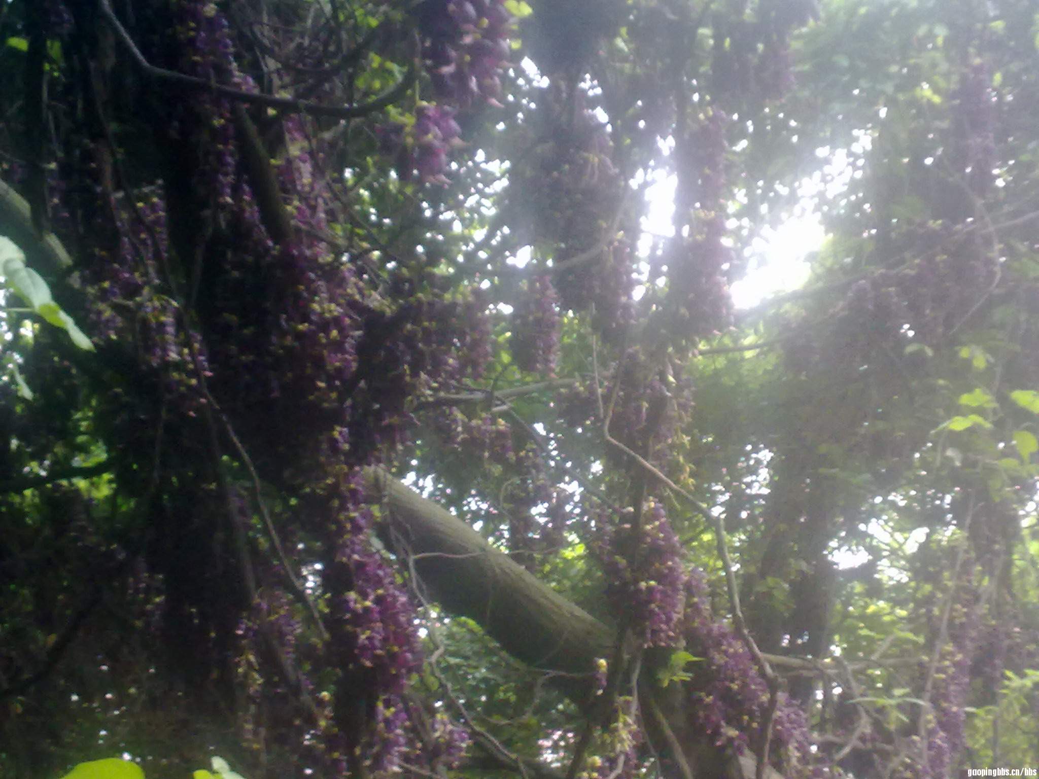 20110418399.jpg