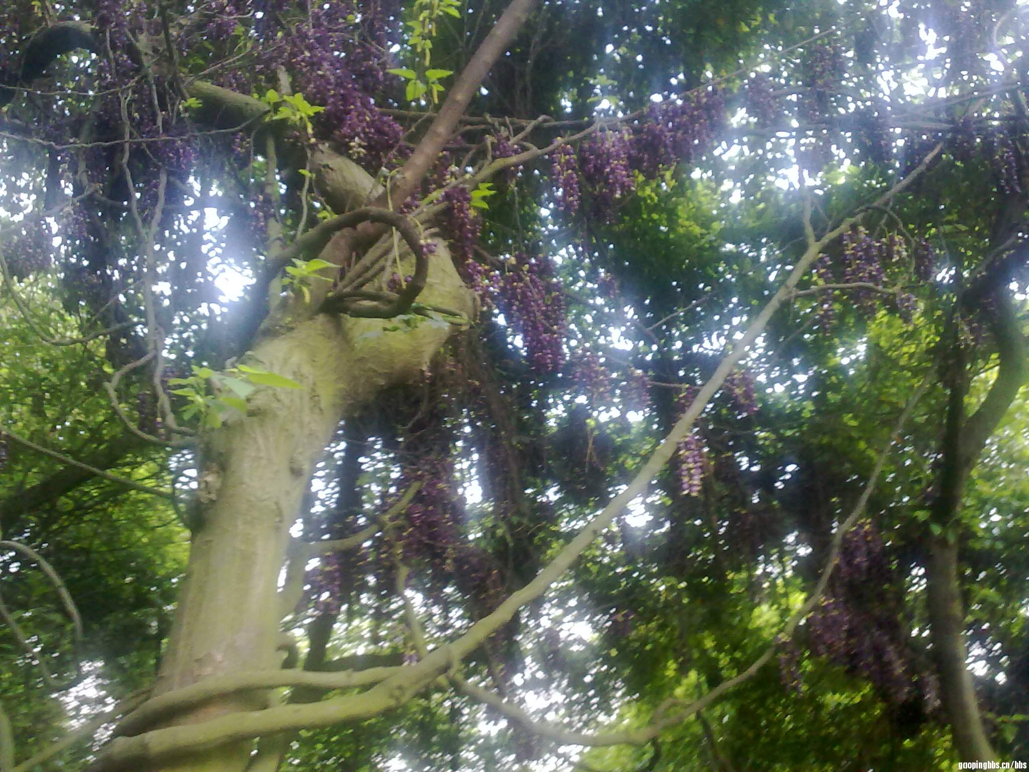 20110418398.jpg