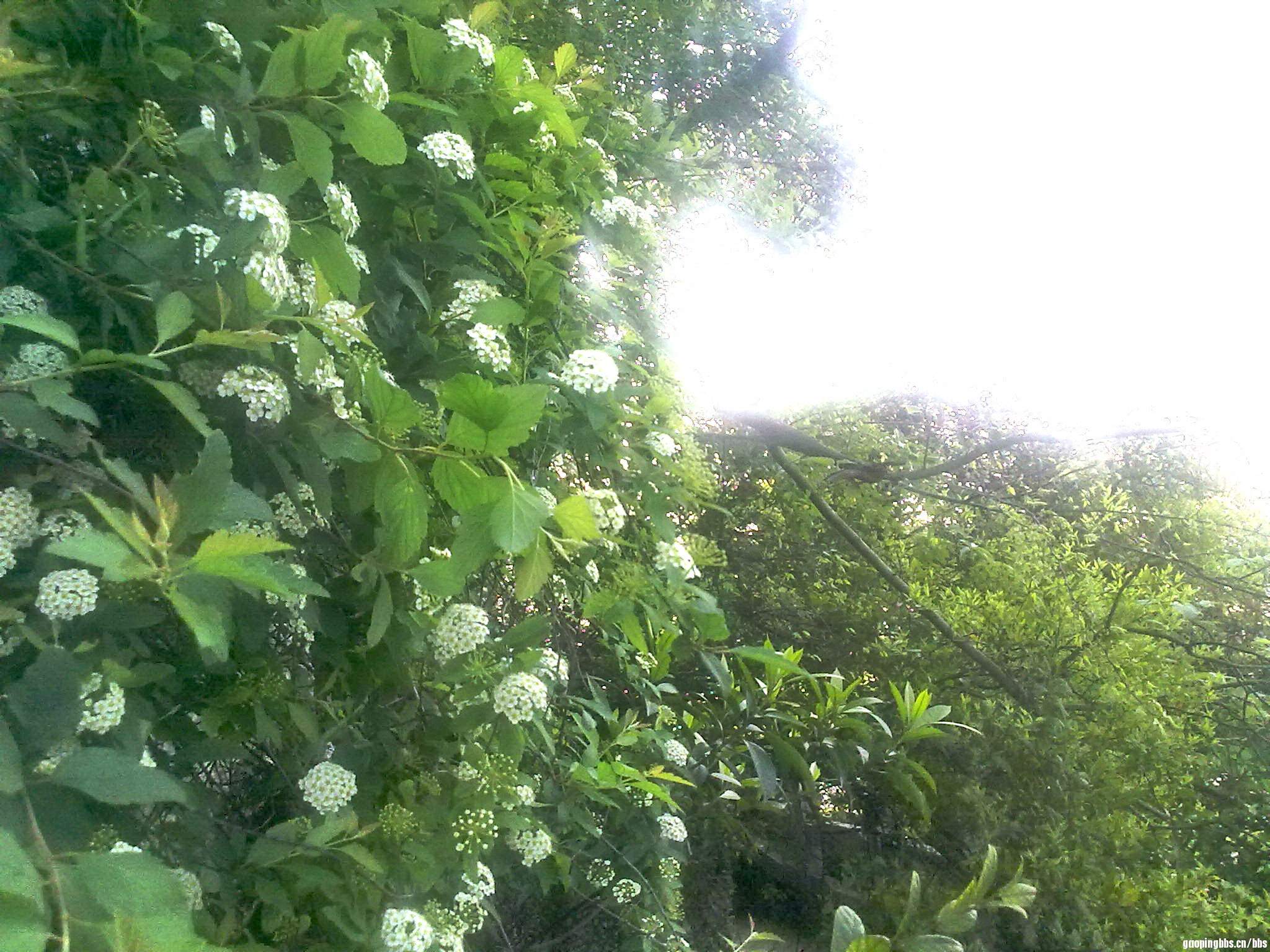 20110418401.jpg