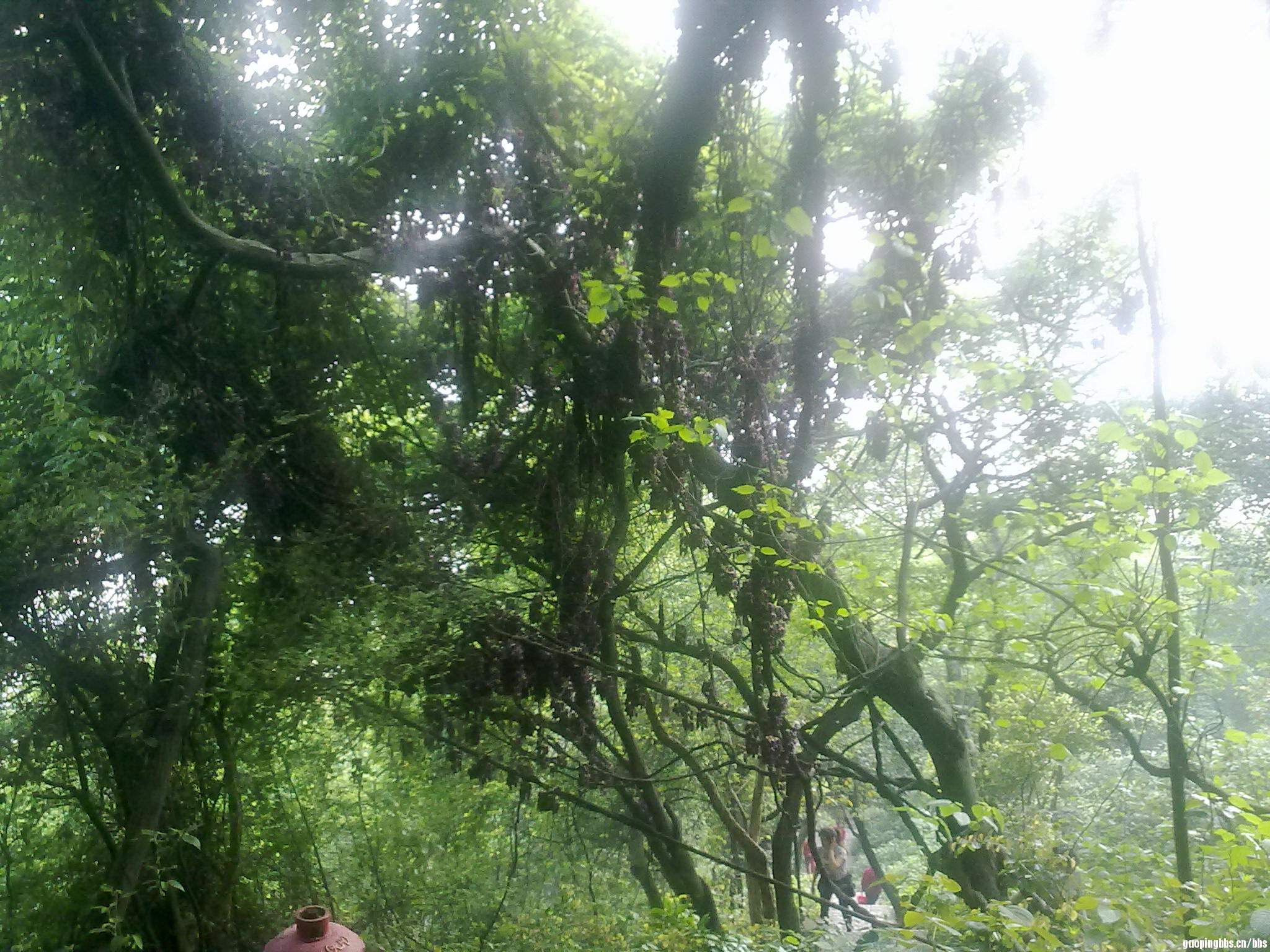 20110418400.jpg