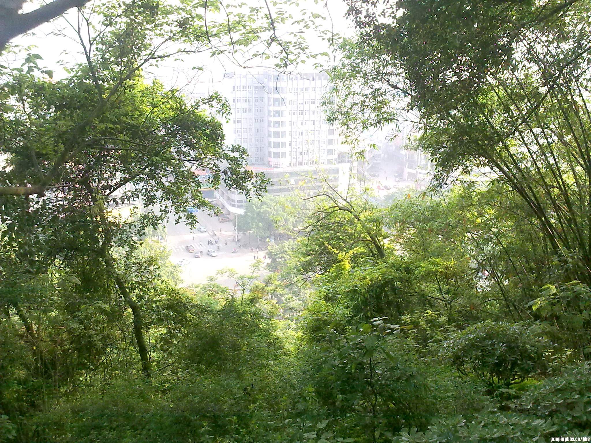 20110419418.jpg