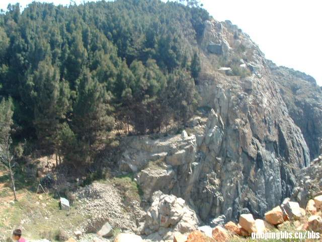 DSCF0382.JPG